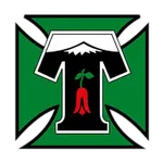 Deportes Temuco